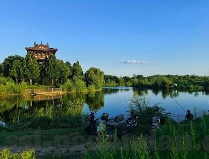 北美足球联赛比分-北美足球联赛比分,激情与悬念交织的绿茵盛宴